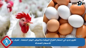 تغيير جديد في أسعار الفراخ البيضاء والبيض اليوم الجمعة.. تعرف على الأسعار المحدثة